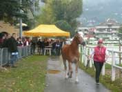 Hodnocen� mechaniky pohybu na k�rungu. Pro zv�t�en� klikn�te