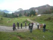 N�v�t�va almu, kde tr�v� sez�nu mlad� h�ebe�ci. Pro zv�t�en� klikn�te