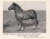 H�ebec Major - konec 50. let. Pro zv�t�en� klikn�te