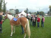 B�hem k�rungu se n�m intenz�vn� v�noval Dr. Alessandro Botte. Pro zv�t�en� klikn�te