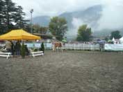 Hodnocen� h�ebc� ve volnosti. Pro zv�t�en� klikn�te