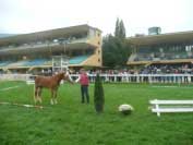 Ned�ln� p�edveden� nejlep��ch ��astn�k� k�rungu. Pro zv�t�en� klikn�te