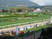 Dostihy hafling� se v Merano konaj� dvakr�t ro�n� a t�� se obrovsk�mu z�jmu. Pro zv�t�en� klikn�te