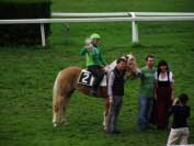 Dostihy hafling�. Pro zv�t�en� klikn�te