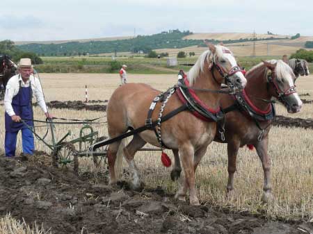 V�t�zov� sout�e v orb�