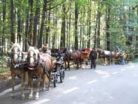 Ilustra�n� foto. Pro zv�t�en� klikn�te