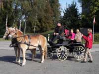 Ilustra�n� foto. Pro zv�t�en� klikn�te