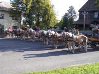 Ilustra�n� foto. Pro zv�t�en� klikn�te