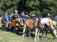 Ilustra�n� foto. Pro zv�t�en� klikn�te