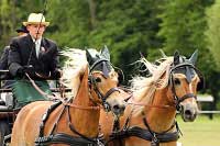 Pro zv�t�en� klikn�te