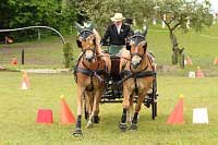 Pro zv�t�en� klikn�te