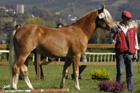 T�et� um�st�n� Stargate