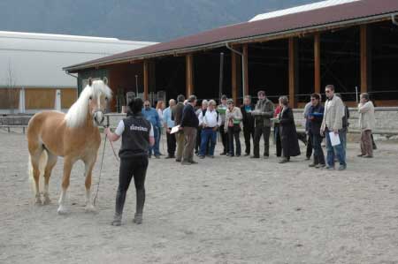 ��astn�ci �kolen� p�i hodnocen�