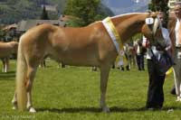 Malina. Pro zv�t�en� klikn�te