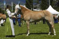 Mendy. Pro zv�t�en� klikn�te