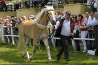 Mendy. Pro zv�t�en� klikn�te