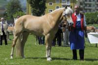 Mitzi. Pro zv�t�en� klikn�te