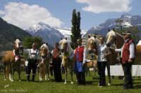 Prvn�ch p�t um�st�n�ch. Pro zv�t�en� klikn�te