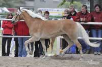 T�et� nejlep�� - Nora. Pro zv�t�en� klikn�te