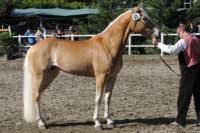 V�t�zka svodu 2011 - Olivia. Pro zv�t�en� klikn�te