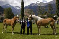 Tradi�n� spole�n� foto �ampionky a rezervn� v�t�zky. Pro zv�t�en� klikn�te