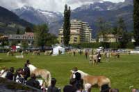 Velk� fin�le v�ech klisen v prvn� t��d�. Pro zv�t�en� klikn�te