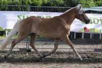 Na Orchidee zbyla bramborov� pozice. Pro zv�t�en� klikn�te