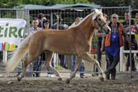 Velmi p�kn� klus v pod�n� p�t� um�st�n� Ozone. Pro zv�t�en� klikn�te