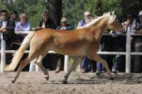 �est� m�sto z�skala Olitta. Pro zv�t�en� klikn�te