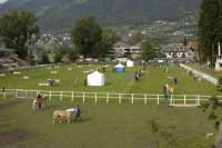 Celkov� pohled na are�l, kde se svody konaj�. Pro zv�t�en� klikn�te