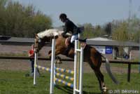 Nardy. Pro zv�t�en� klikn�te