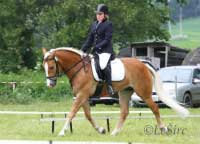 Nardy. Pro zv�t�en� klikn�te