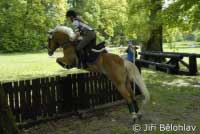 Nardy. Pro zv�t�en� klikn�te