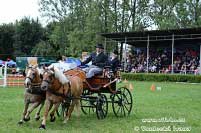 Pro zv�t�en� klikn�te