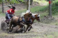 Pro zv�t�en� klikn�te