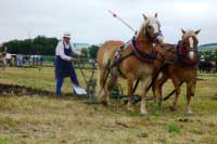 Zden�k Musil pro orb� na srpnov�m hod�jick�m kl�n�. Pro zv�t�en� klikn�te