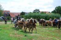 �ty�ka hafling� p�edveden� Zde�kem Musilem. Pro zv�t�en� klikn�te