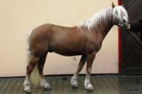 N-Mates. Pro zv�t�en� klikn�te