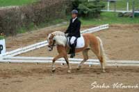 Wunja v drezu�e nezklamala a zajela skv�l� v�sledek 64 %. Pro zv�t�en� klikn�te