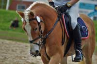 �vodn�. Pro zv�t�en� klikn�te