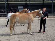 Jedna ze dvou v�t�zn�ch klisen svodu v Ebbsu s hodnocen�m 8,0 bodu. Pro zv�t�en� klikn�te