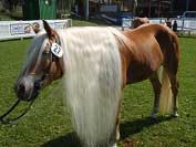 P�ebornice v d�lce h��vy Eroina bohu�el jinak p��li� neusp�la. Pro zv�t�en� klikn�te