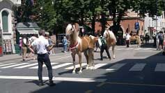 T�i nejlep�� z ka�d� t��dy byli v ned�li p�edvedeni v pr�vodu m�stem. Pro zv�t�en� klikn�te