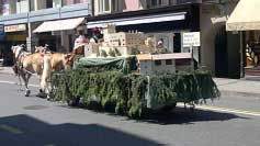 Na jednom z voz� byla ta�ena maketa st�je, kde se p�ed 140 lety narodil zapladatel plemene Folie. Pro zv�t�en� klikn�te