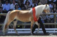 Dev�tilet� Namira zv�t�zila ve sv� t��d� a usp�la i v kolekci. Pro zv�t�en� klikn�te