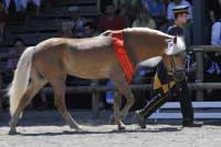 Alphonso, v�t�z t��dy �ty� a p�tilet�ch. Pro zv�t�en� klikn�te