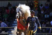 Novembrenebel. Pro zv�t�en� klikn�te