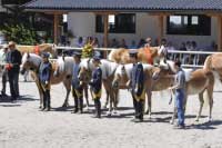 Rialta a nejlep�� rodina. Pro zv�t�en� klikn�te