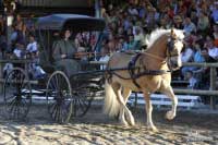 Americk� ��astnice jako p��slu�nice �idovsk� komunity Amish�. Pro zv�t�en� klikn�te