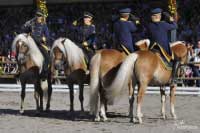 �tverylka v pod�n� plemen�k� z Ebbsu. Pro zv�t�en� klikn�te